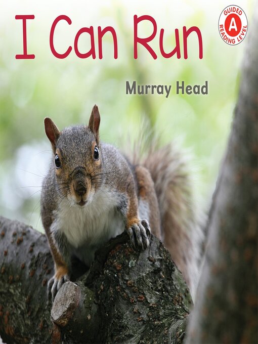 Cover image for I Can Run